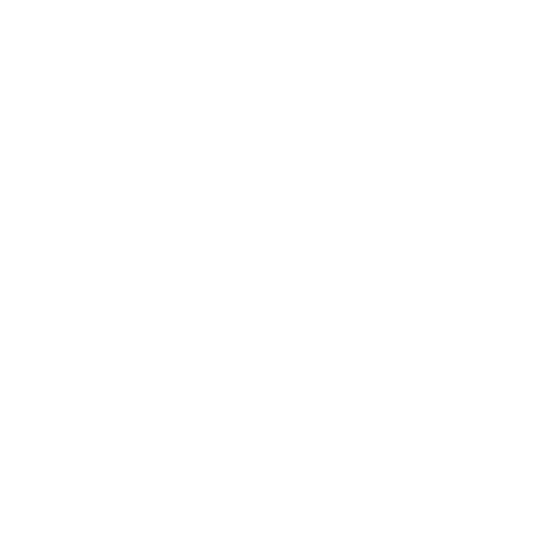 NS2ロゴ